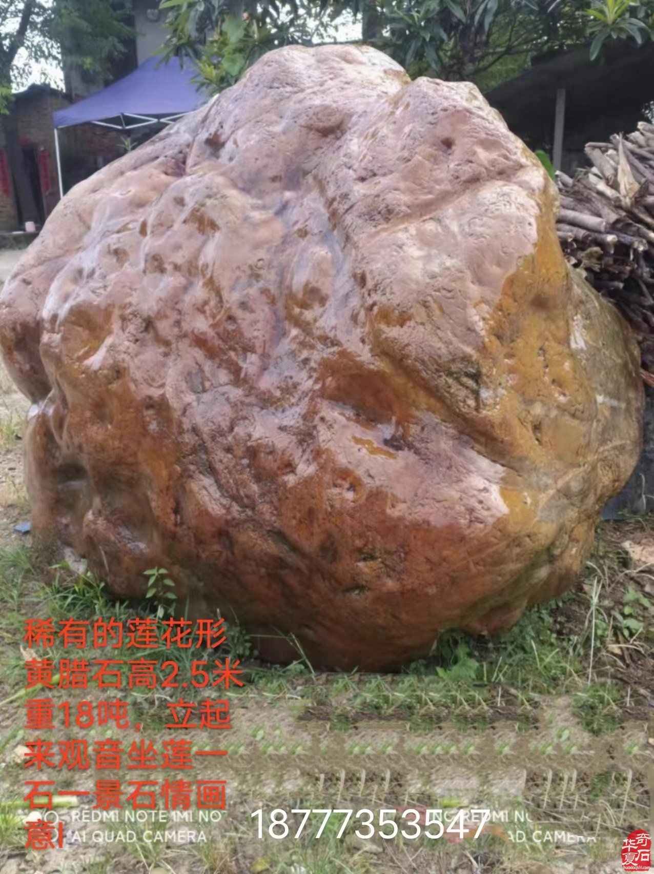 石界老顽童刘春浩老先生藏品欣赏