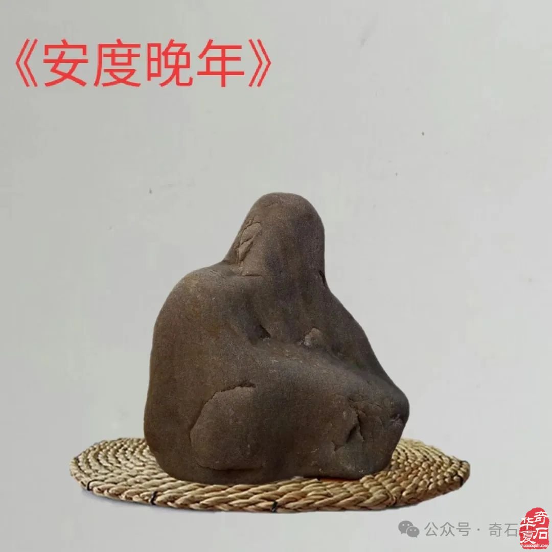 石情话意： 醉石翁赏石