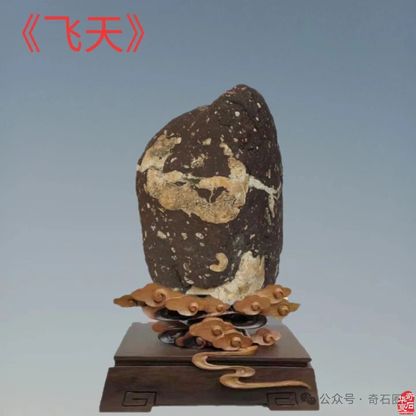 石情话意: 醉石翁赏石
