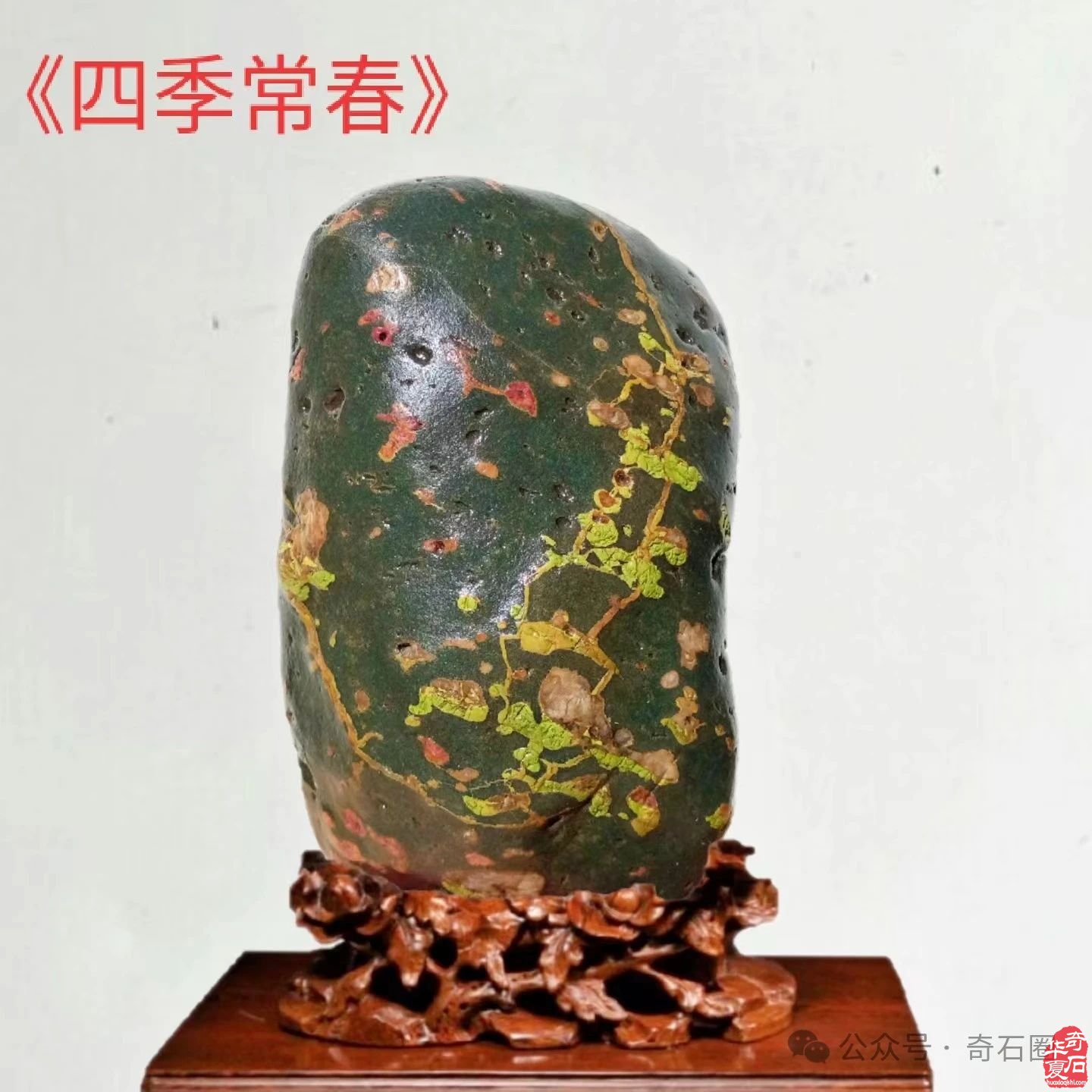 石情话意: 醉石翁赏石