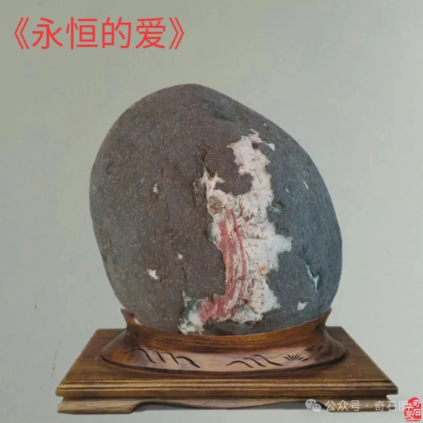 石情话意: 醉石翁赏石
