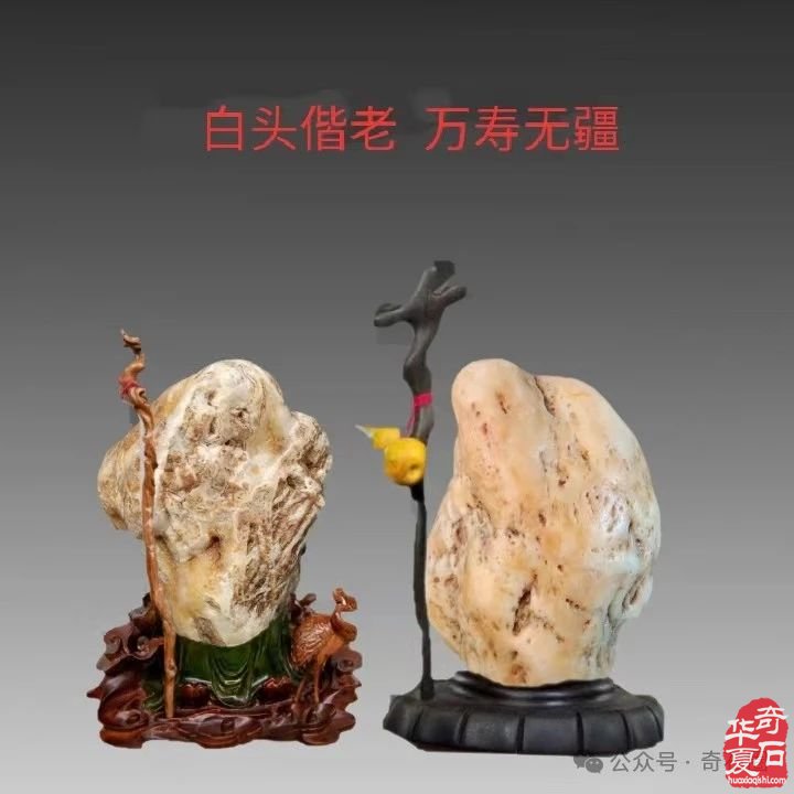 石情话意: 醉石翁赏石