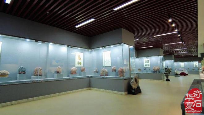 2024中国·临洮第五届“貂蝉杯”赏石文化艺术博览会精品石展报名开始啦！