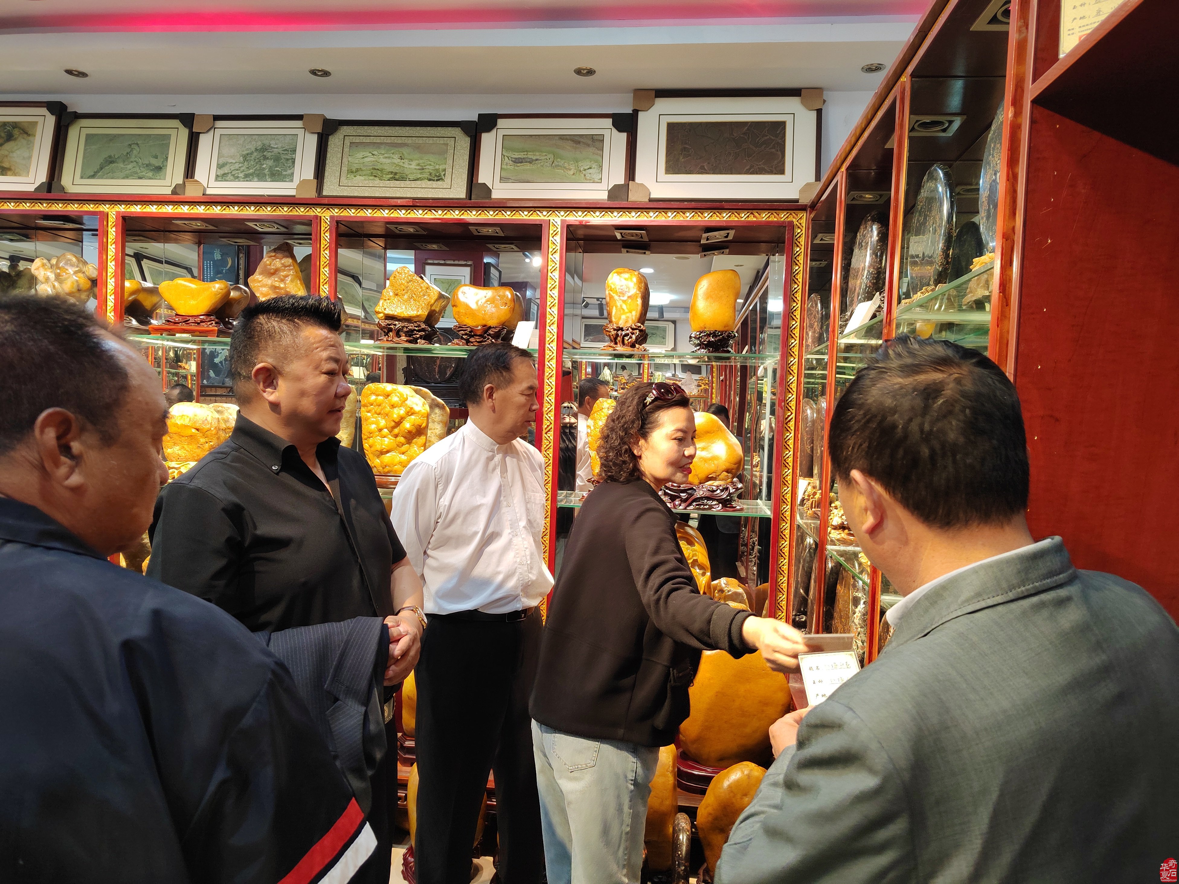 中国观赏石协会形象大使周发猛再访洛阳