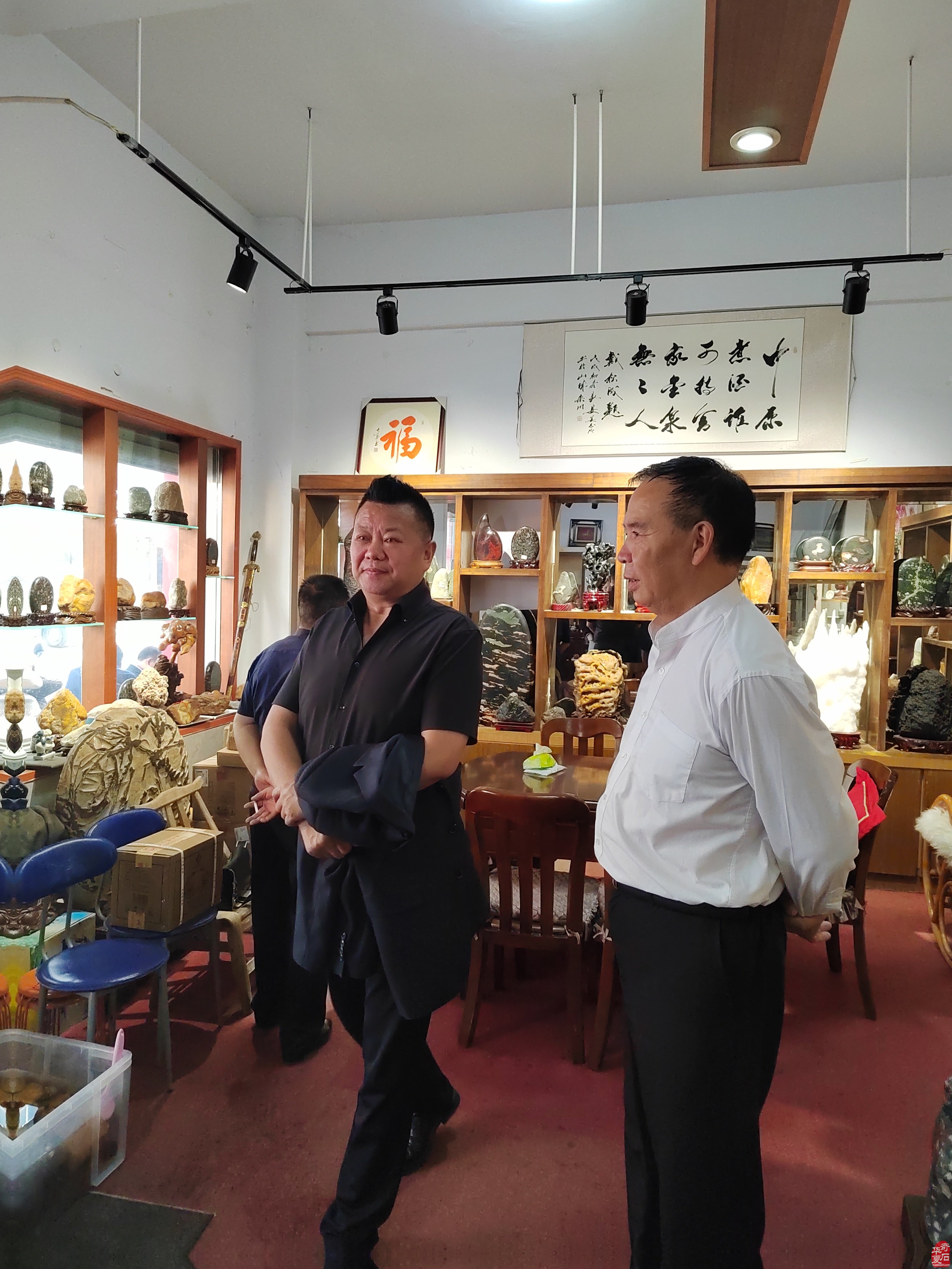 中国观赏石协会形象大使周发猛再访洛阳