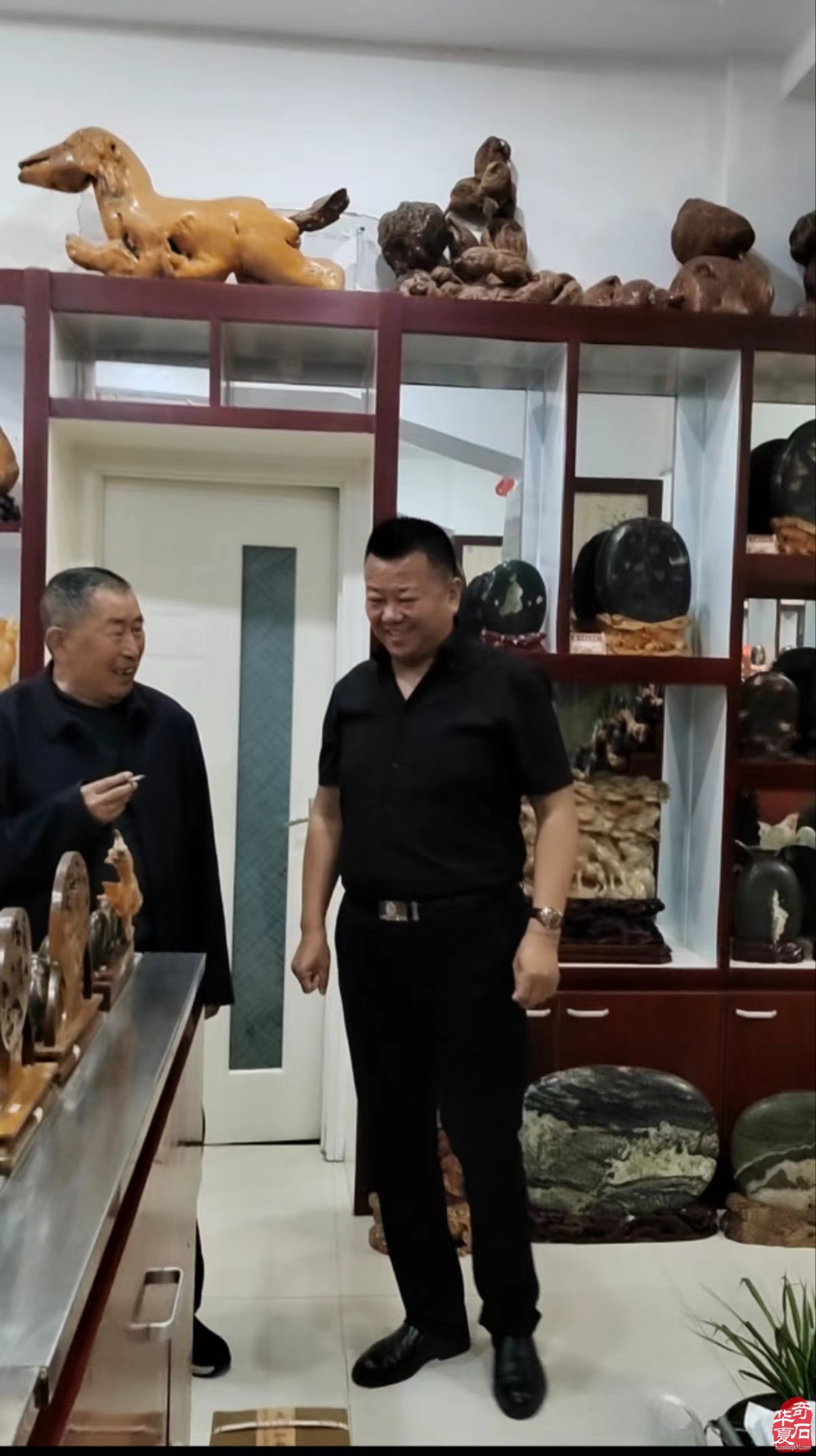 中国观赏石协会形象大使周发猛再访洛阳