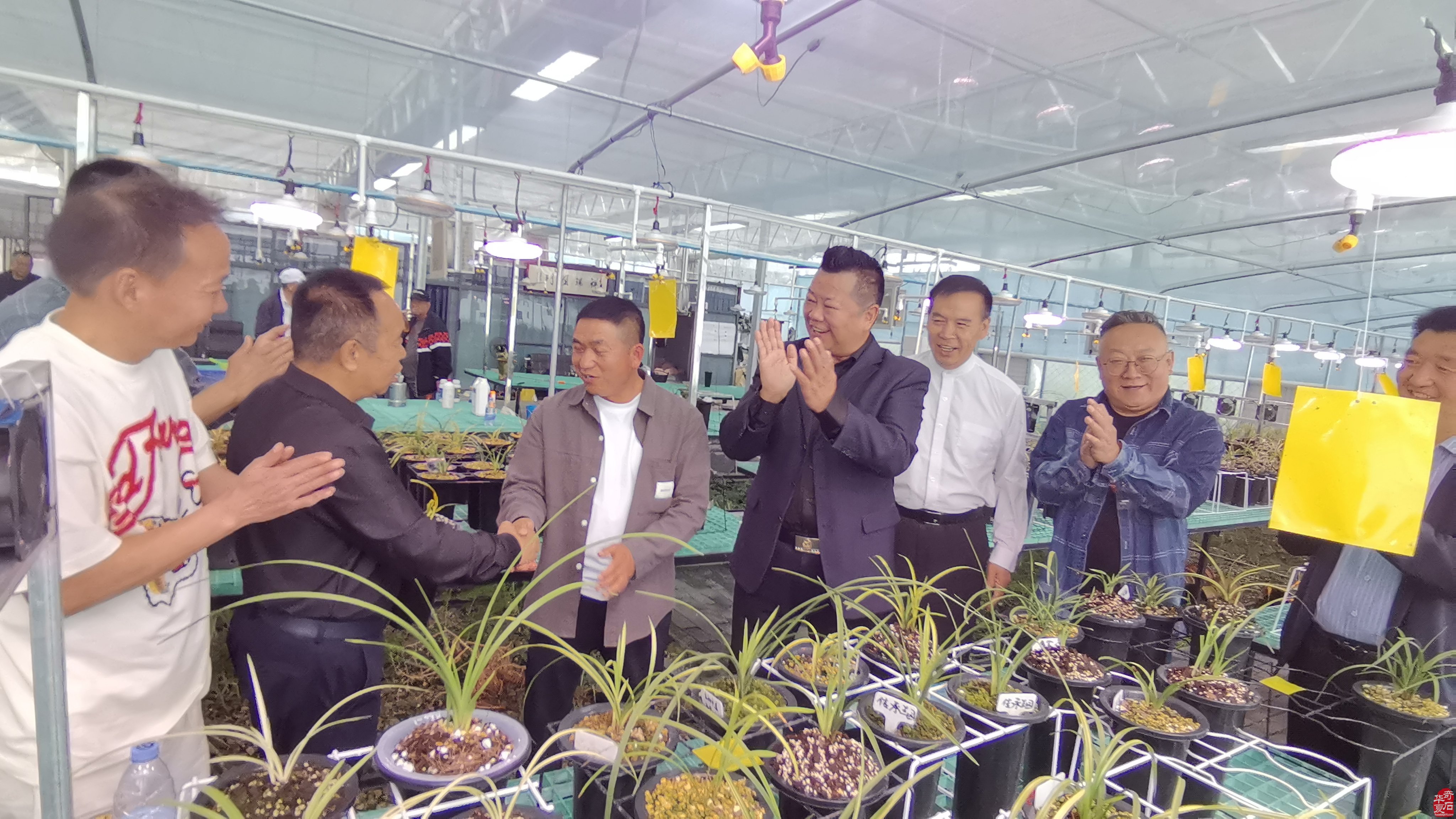 中国观赏石协会形象大使周发猛再访洛阳