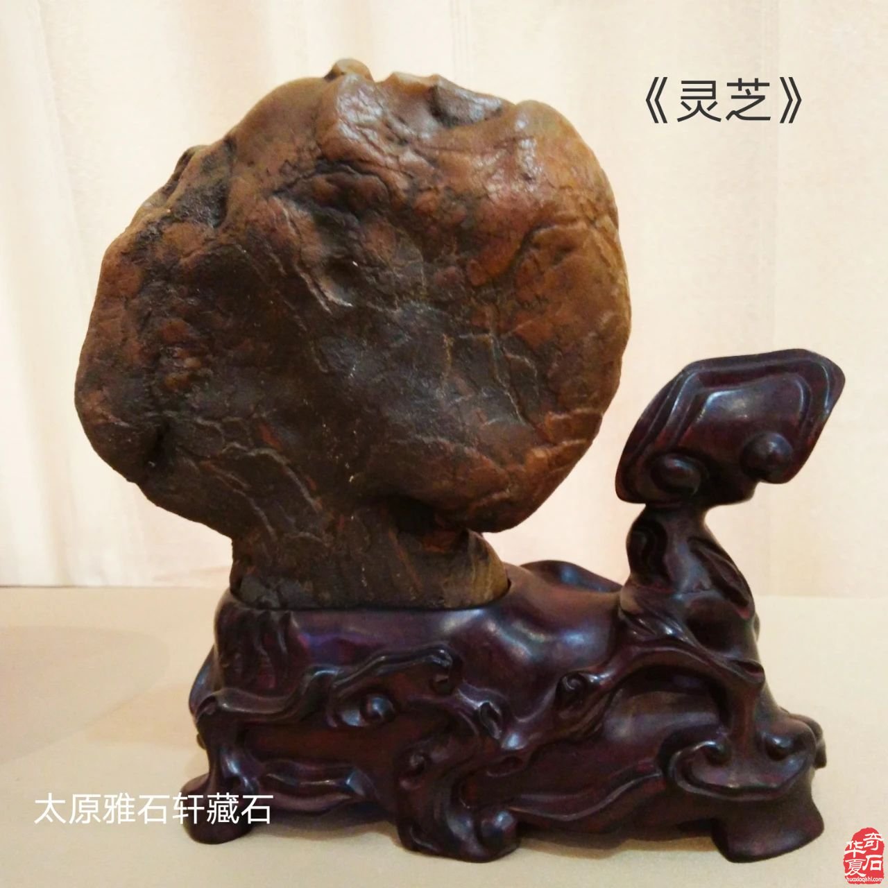 小品石和小品石组合赏玩现状与趋势