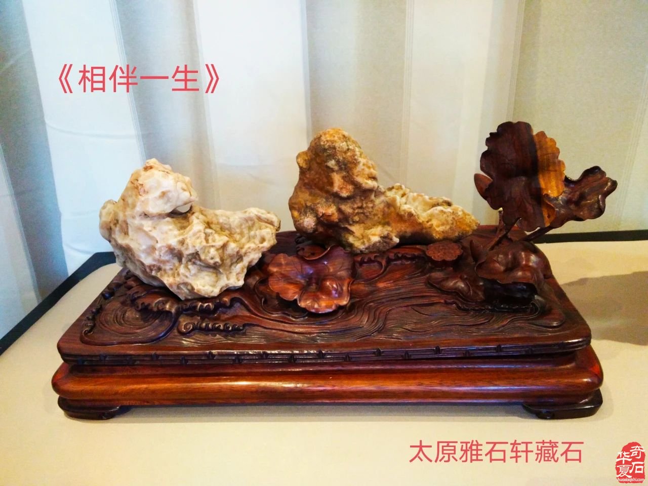 小品石和小品石组合赏玩现状与趋势