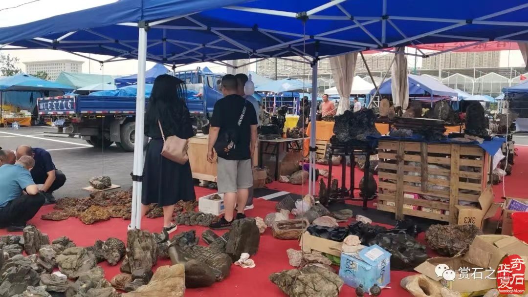 2024.5.20中国济南第十二届观赏石宝玉石博览会暨奇石精品展欢迎您!
