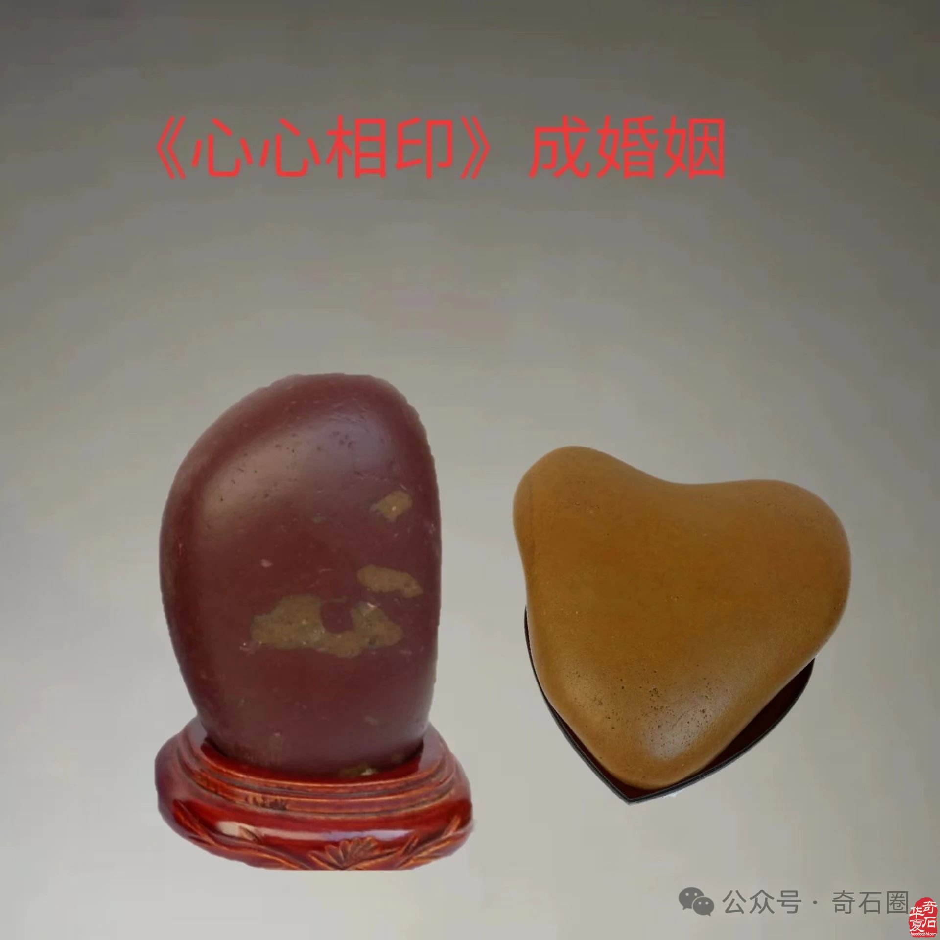 醉石翁赏石———《生命之歌》