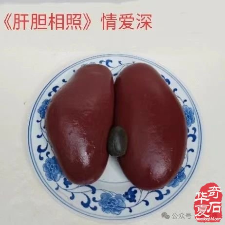 醉石翁赏石———《生命之歌》