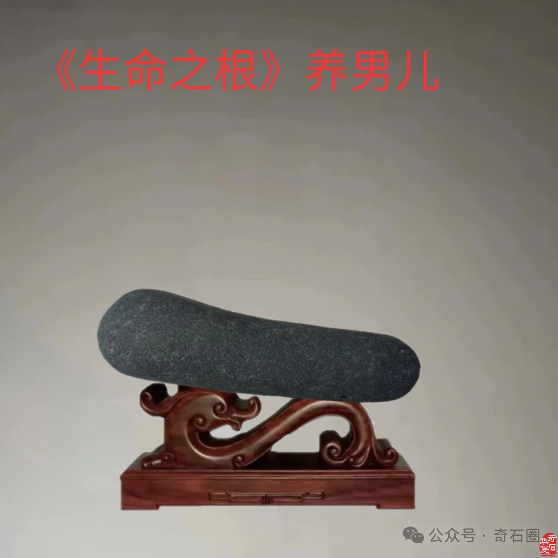 醉石翁赏石———《生命之歌》