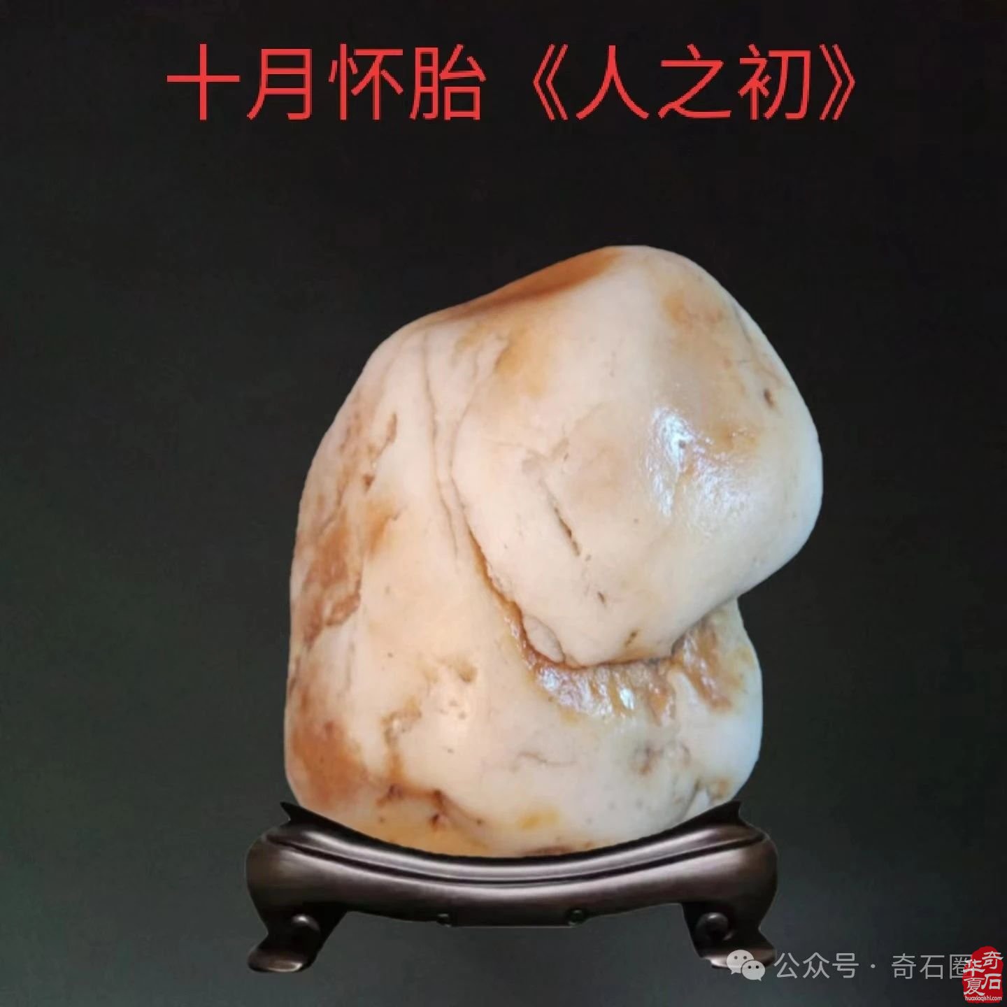 醉石翁赏石———《生命之歌》