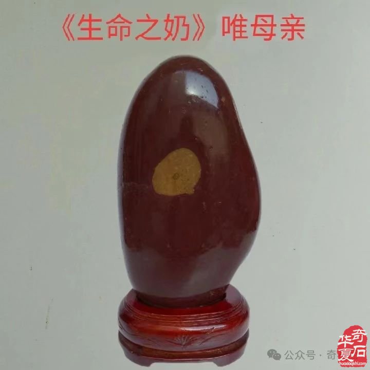 醉石翁赏石———《生命之歌》
