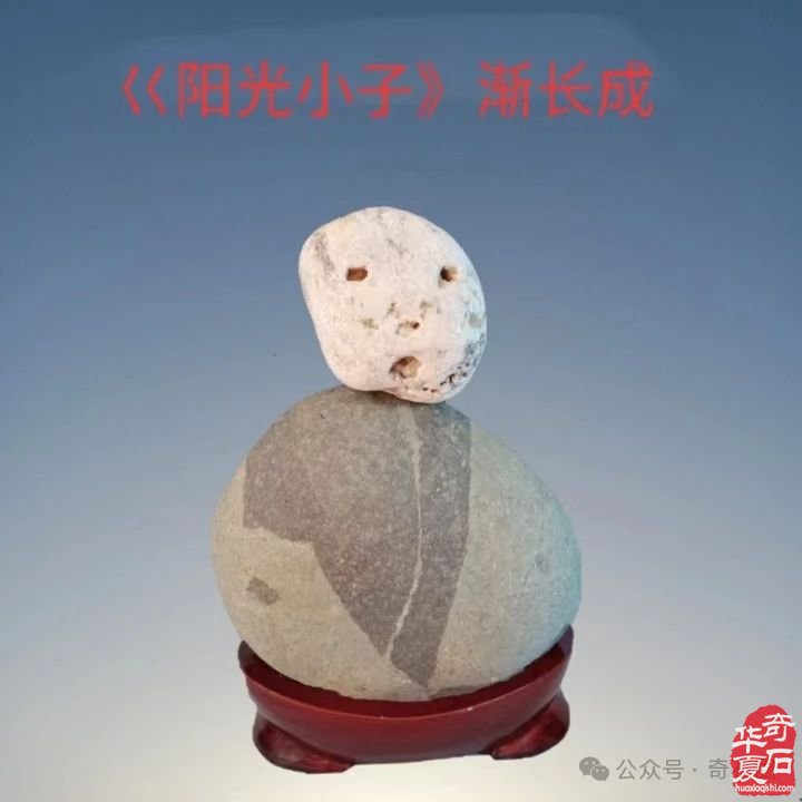 醉石翁赏石———《生命之歌》