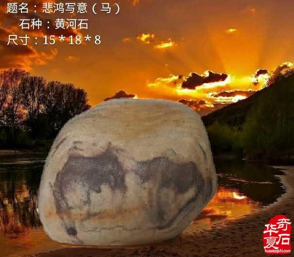 家有奇石,宅不穷,人和室雅!
