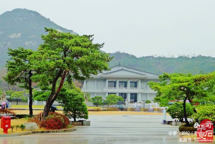 中国石界创新篇、中外石友大联欢——青岛赏石文化万里行，共同演绎跨国赏石盛会
