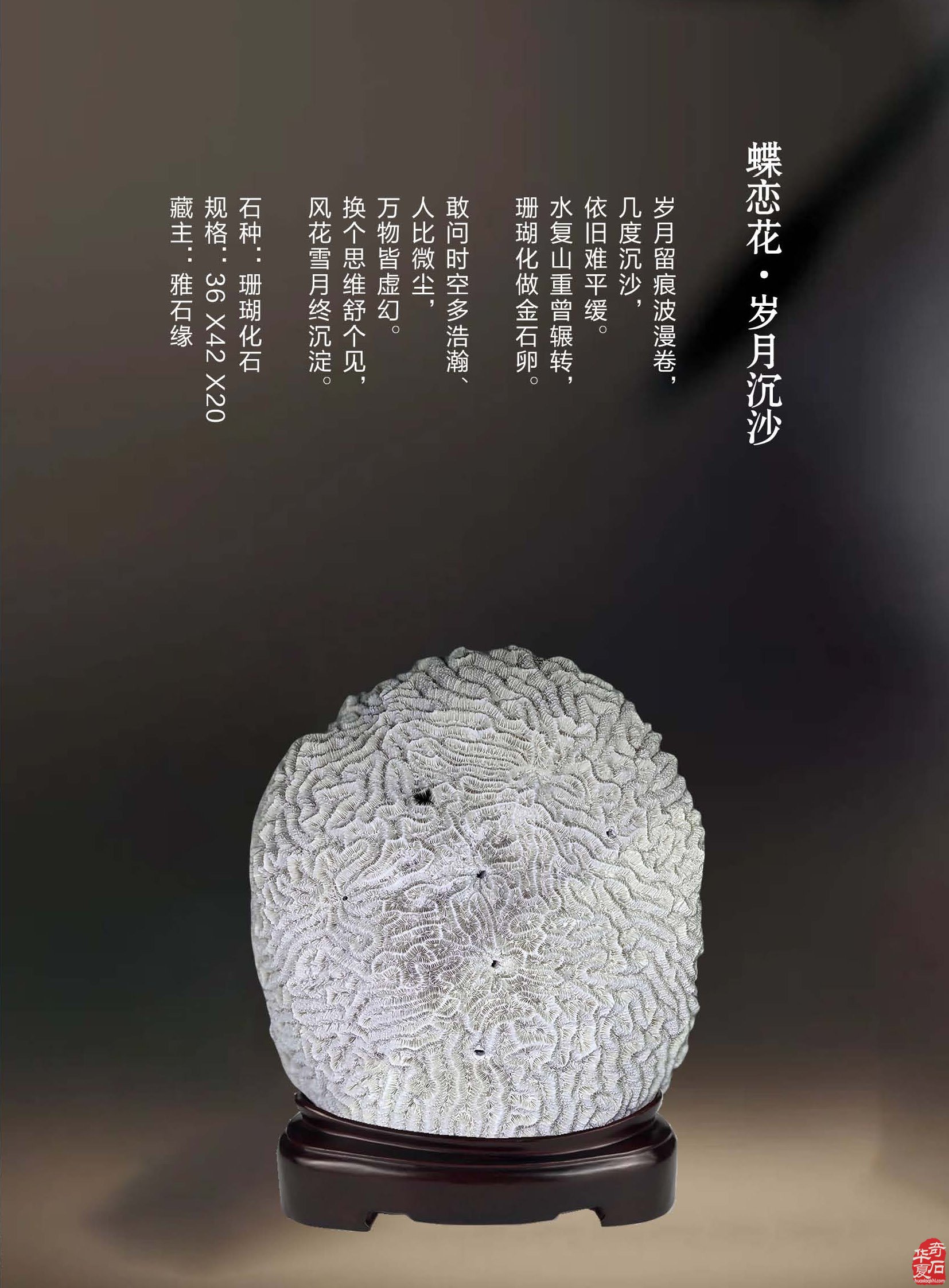 《于公赏石》辛勤耕耘为石友石商提供便利