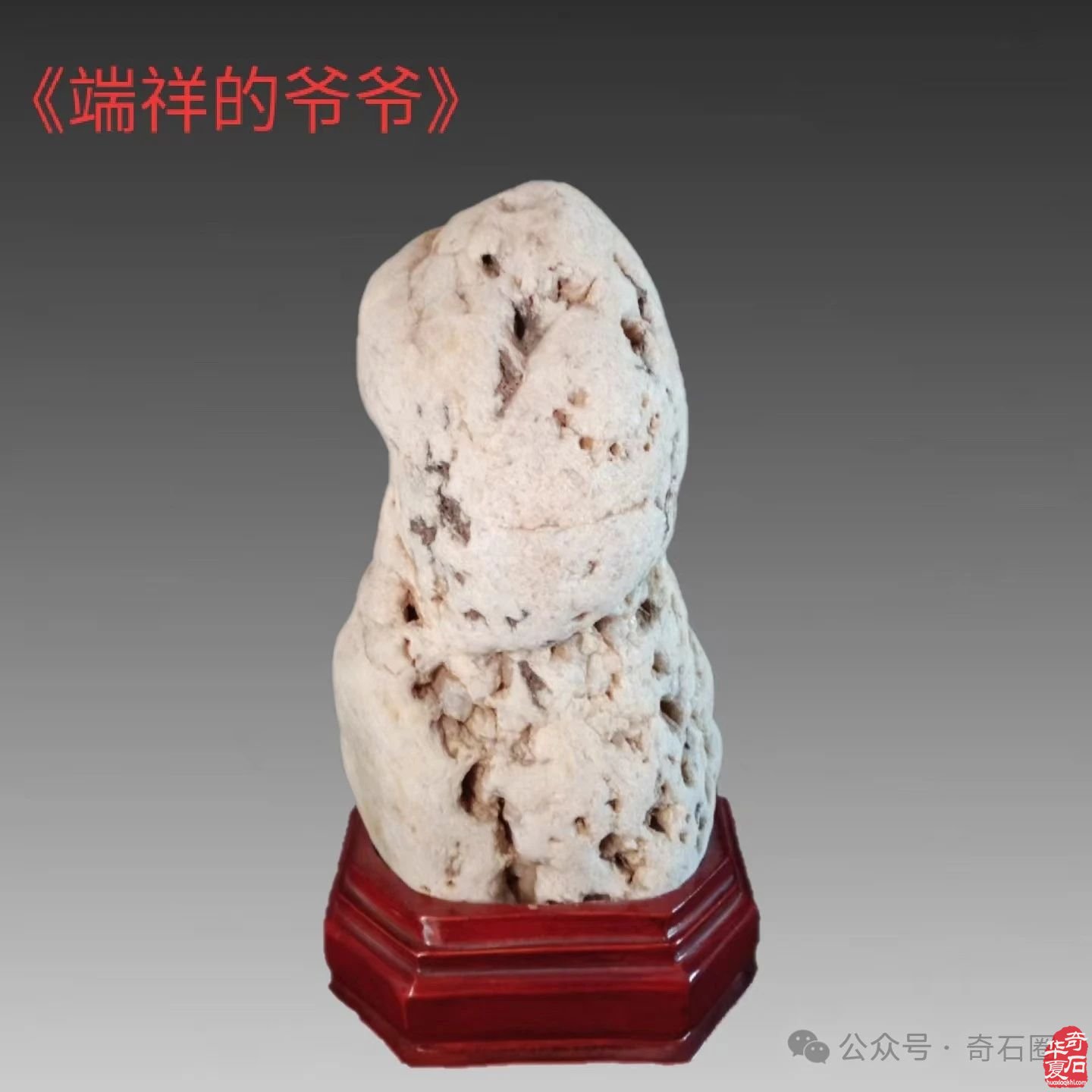奇妙的石头会说话：瞧这一家子