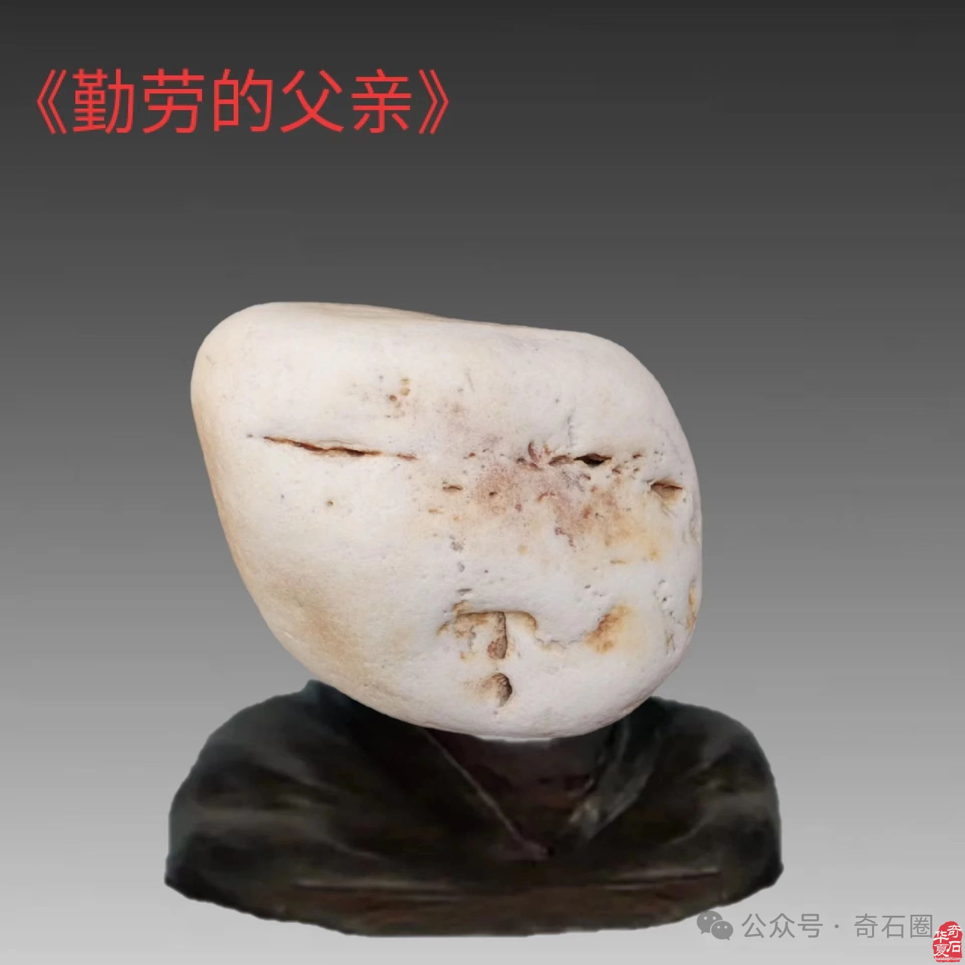 奇妙的石头会说话：瞧这一家子