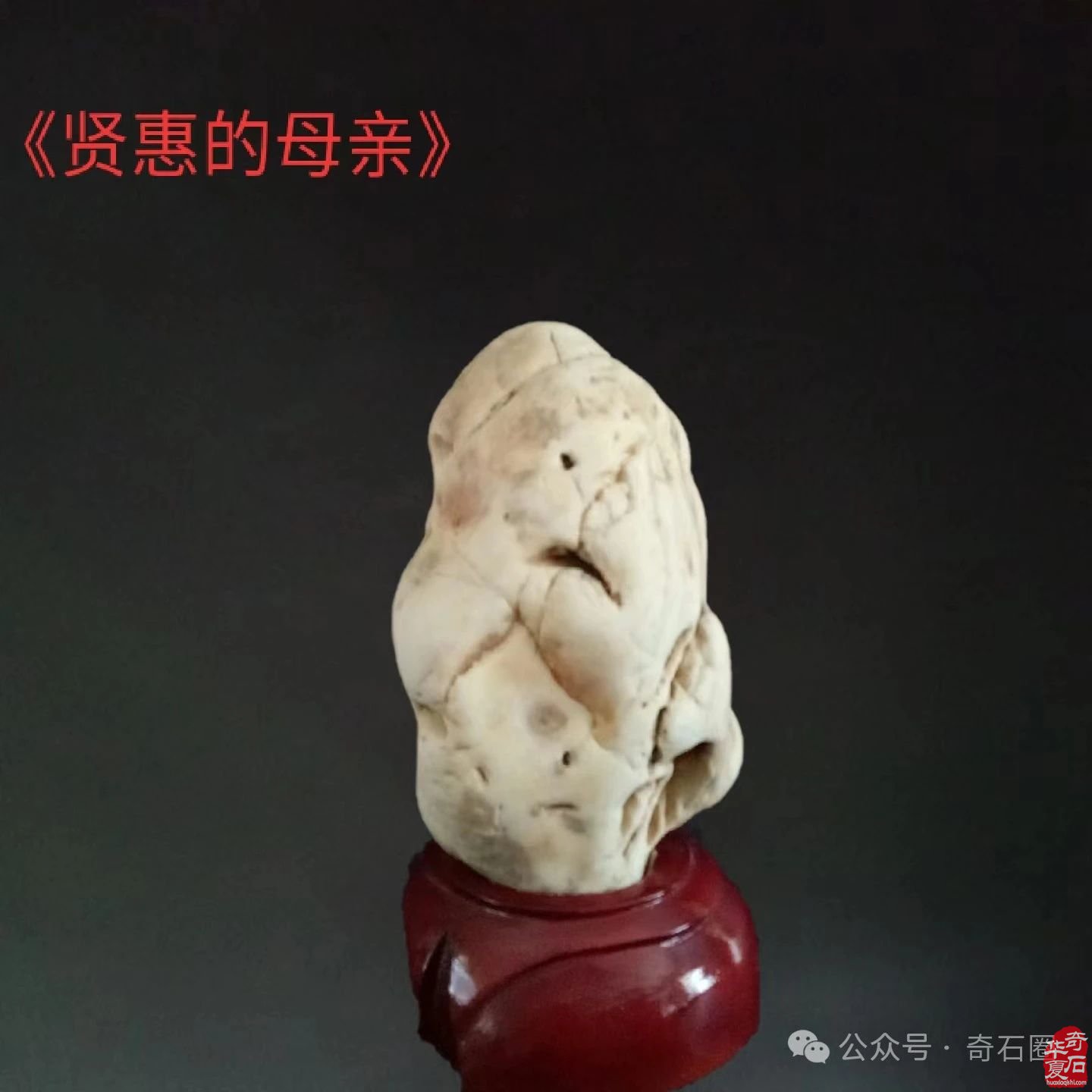 奇妙的石头会说话：瞧这一家子