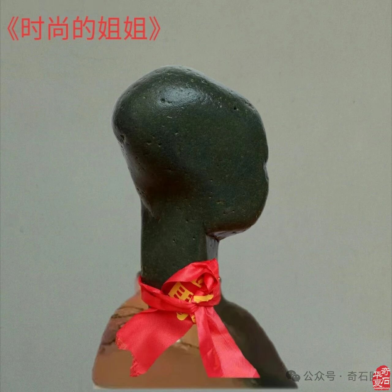 奇妙的石头会说话：瞧这一家子