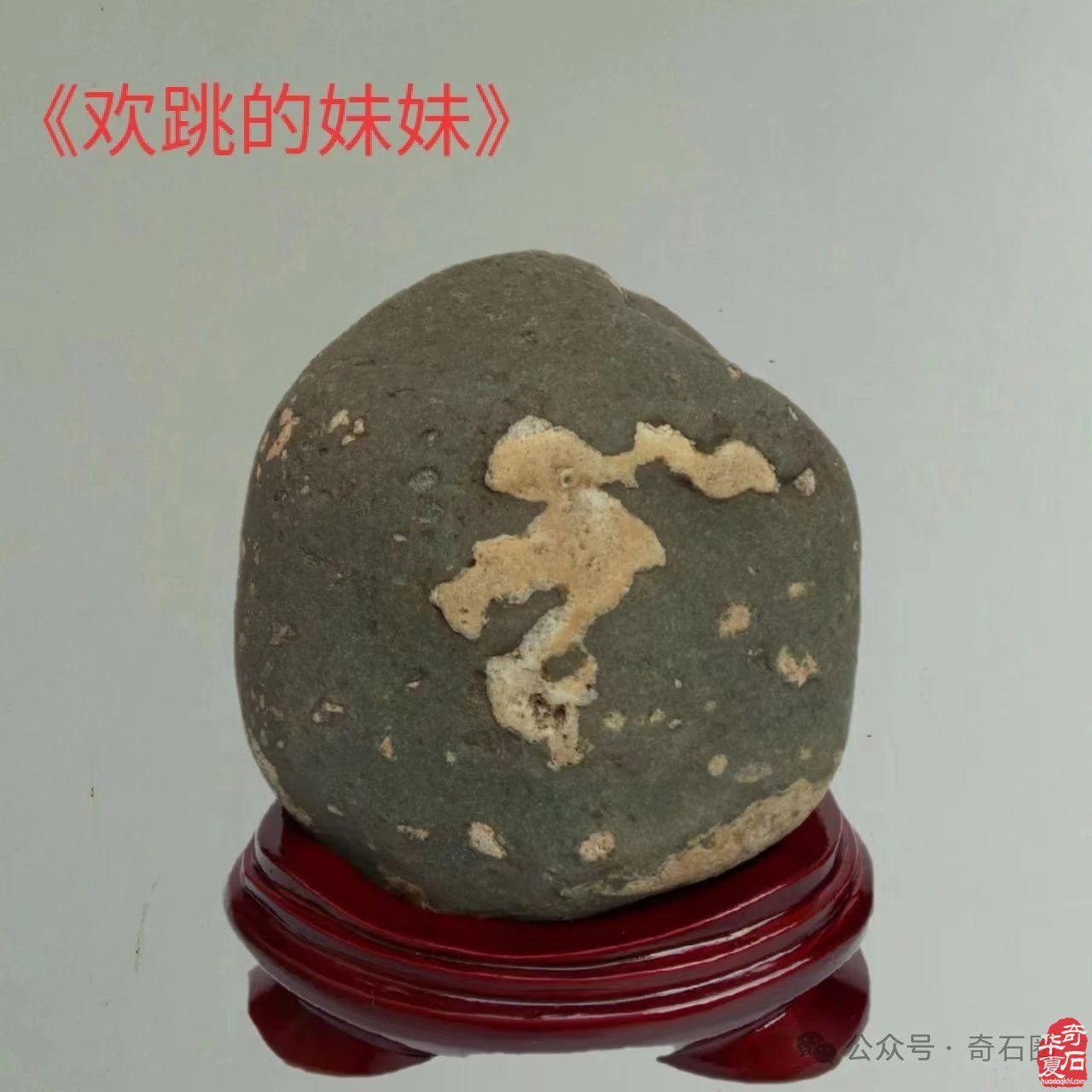 奇妙的石头会说话：瞧这一家子