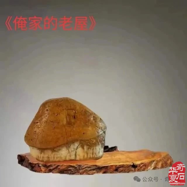 奇妙的石头会说话：瞧这一家子