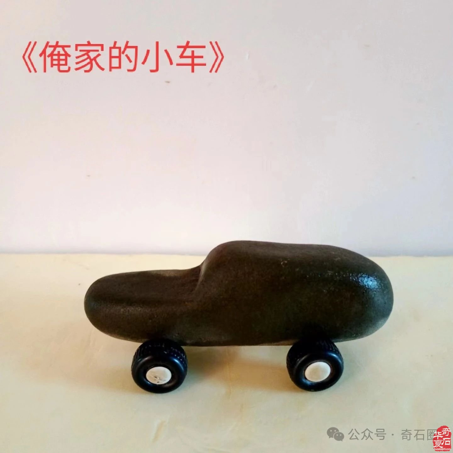 奇妙的石头会说话：瞧这一家子