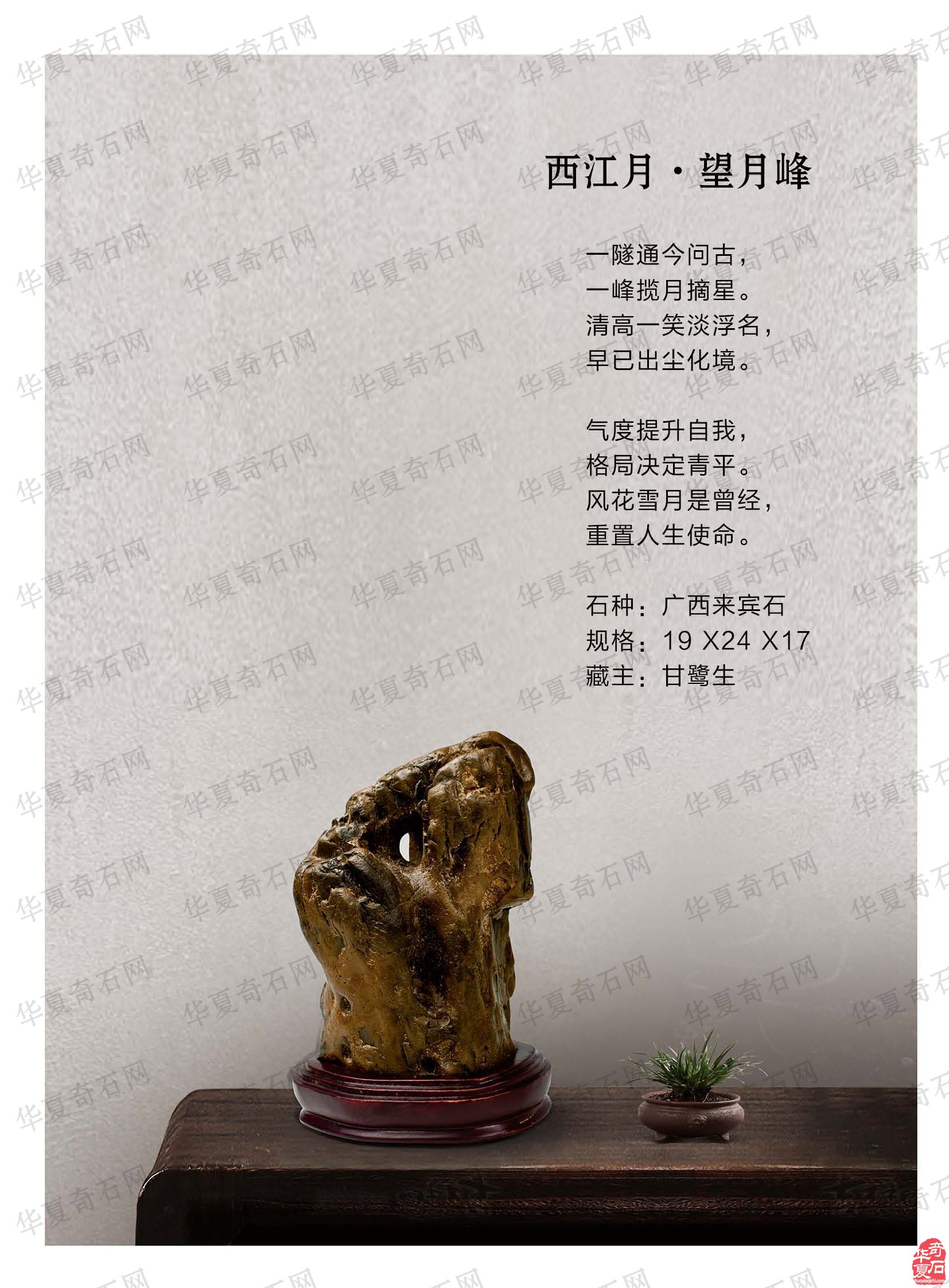 新的一期《于公赏石》电子版杂志上线啦