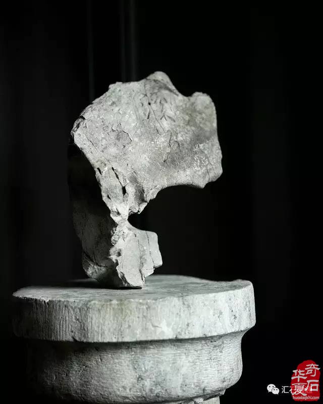 太湖石是中国文人特有的审美情结