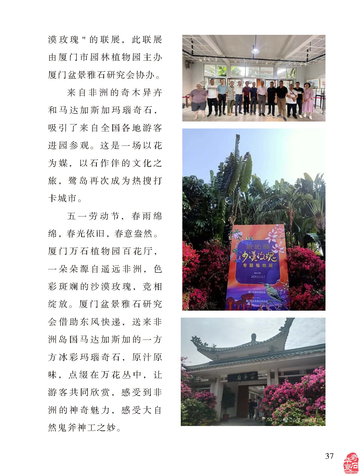热点追踪报道时事要闻尽现《于公赏石》