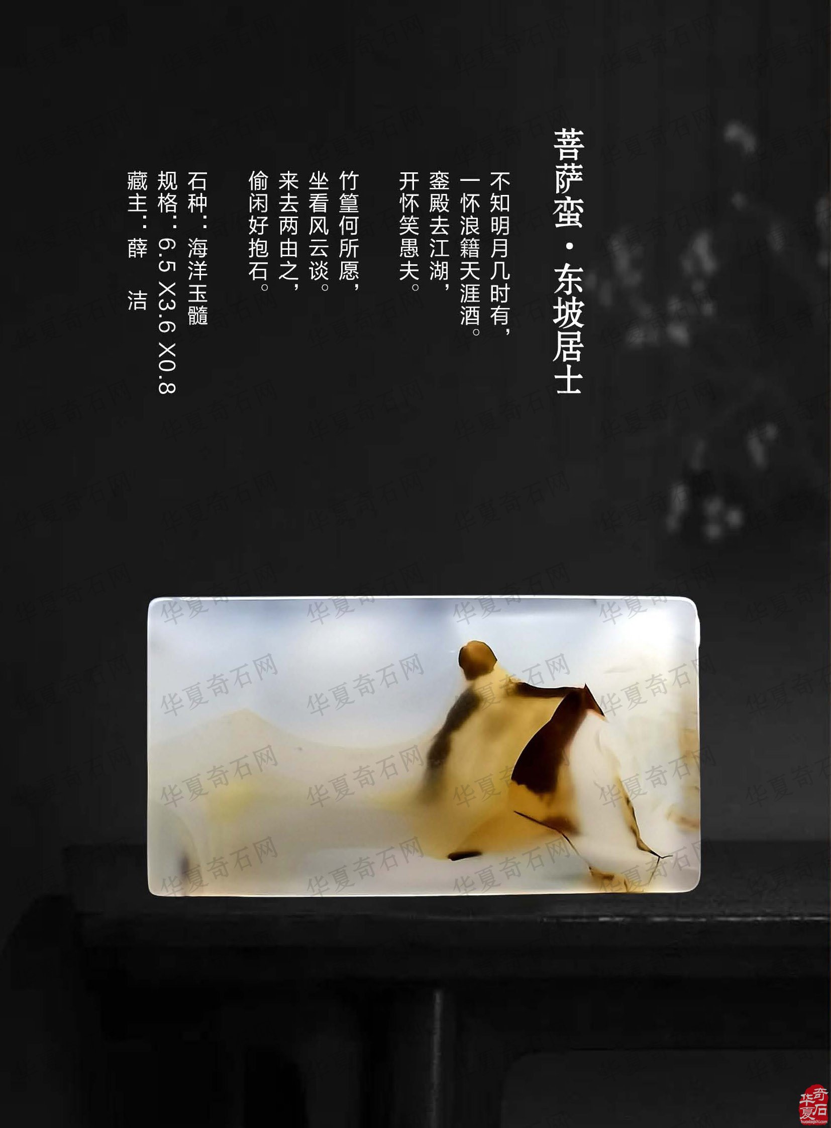 热点追踪报道时事要闻尽现《于公赏石》