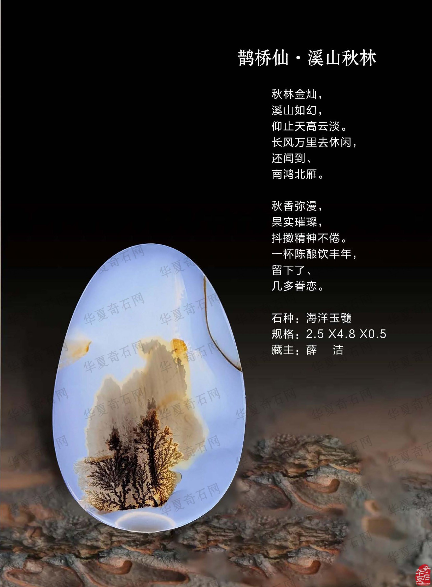 热点追踪报道时事要闻尽现《于公赏石》