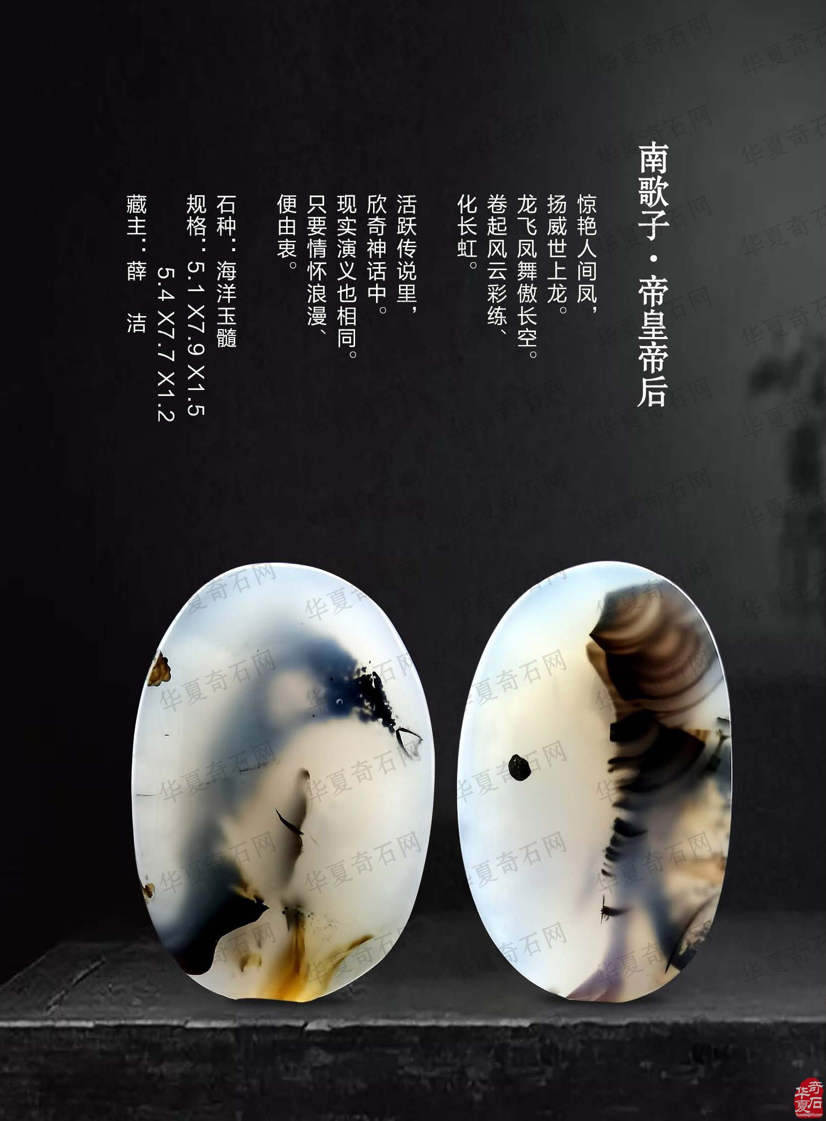热点追踪报道时事要闻尽现《于公赏石》