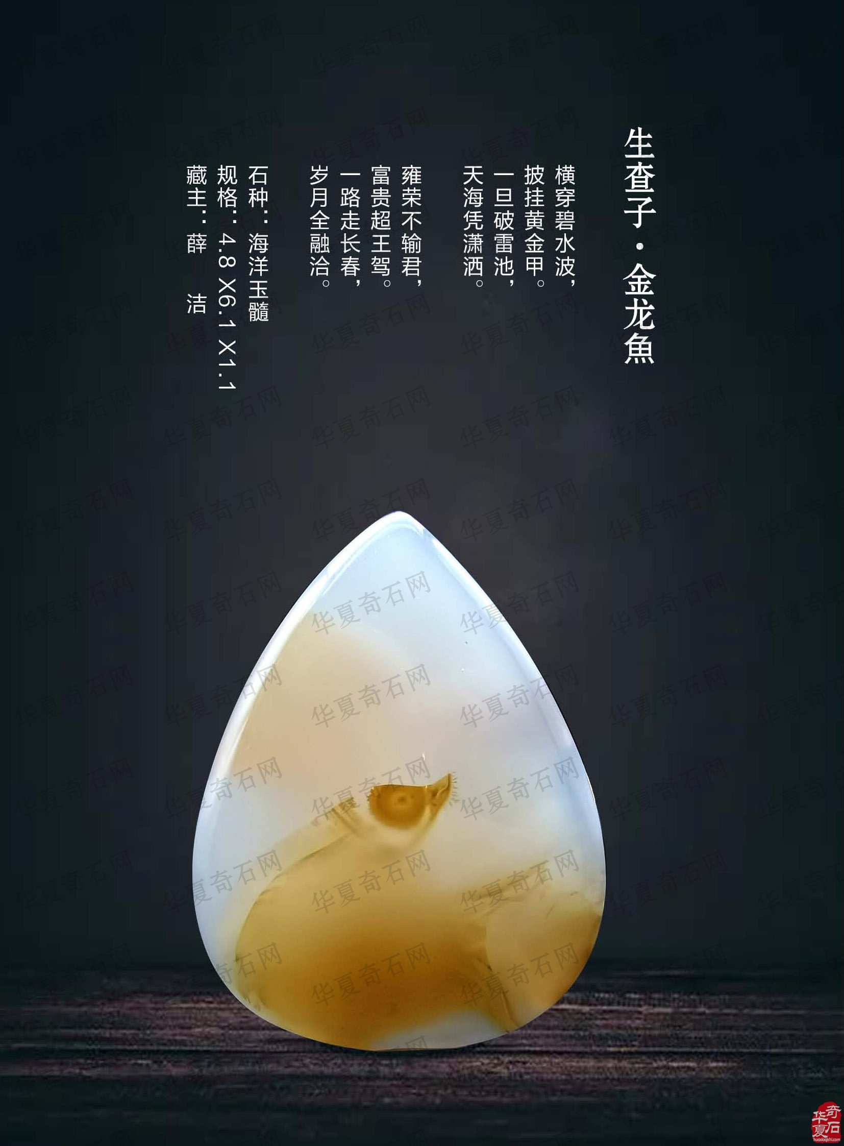 热点追踪报道时事要闻尽现《于公赏石》