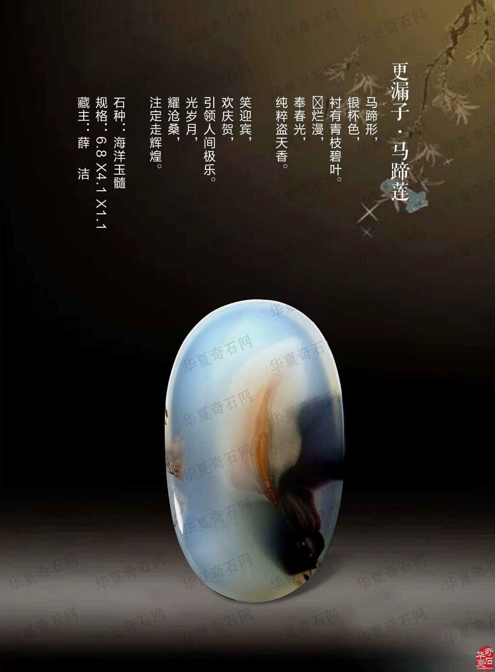热点追踪报道时事要闻尽现《于公赏石》