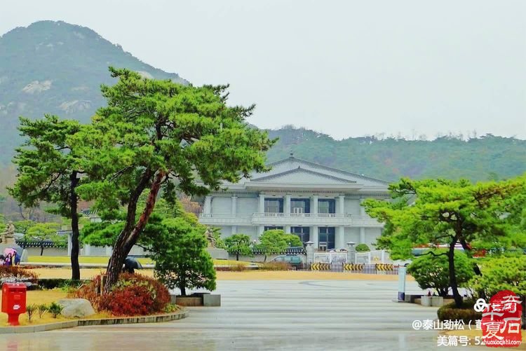 中国石界创新篇、中韩石友大联欢——青岛赏石文化万里行，共同演绎跨国赏石盛会