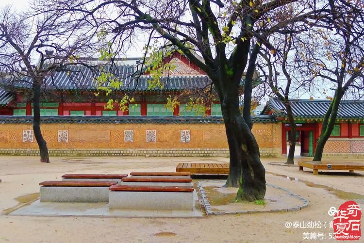 中国石界创新篇、中韩石友大联欢——青岛赏石文化万里行，共同演绎跨国赏石盛会