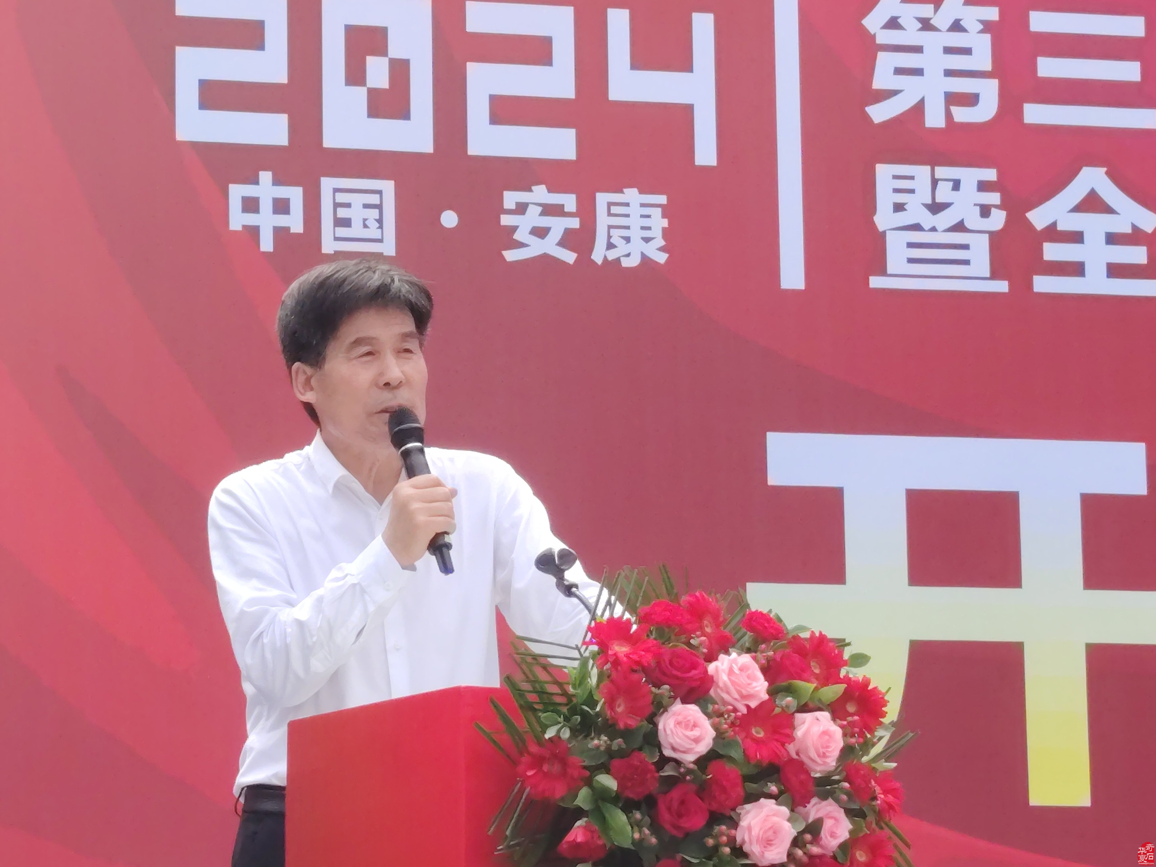 2024中国（安康）第三届国际赏石艺术节 暨全国精品奇石展盛大开幕