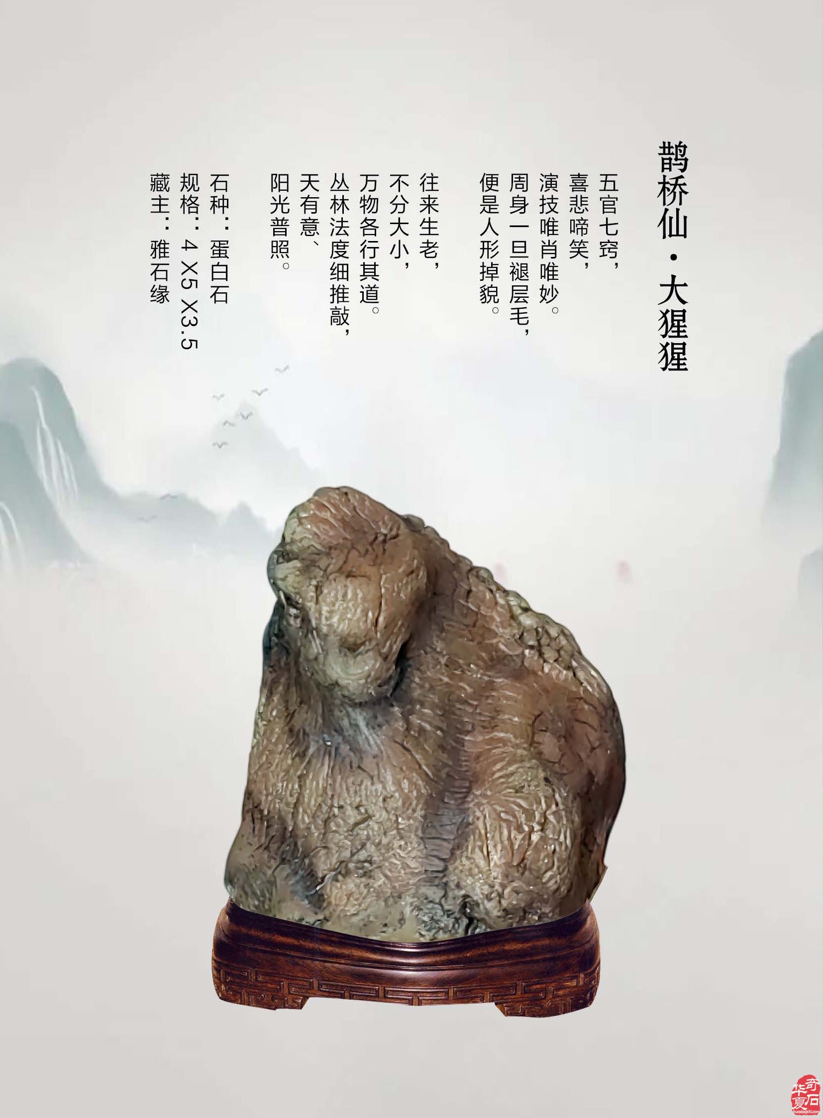 《于公赏石》推介深受石界喜欢的漂亮美石