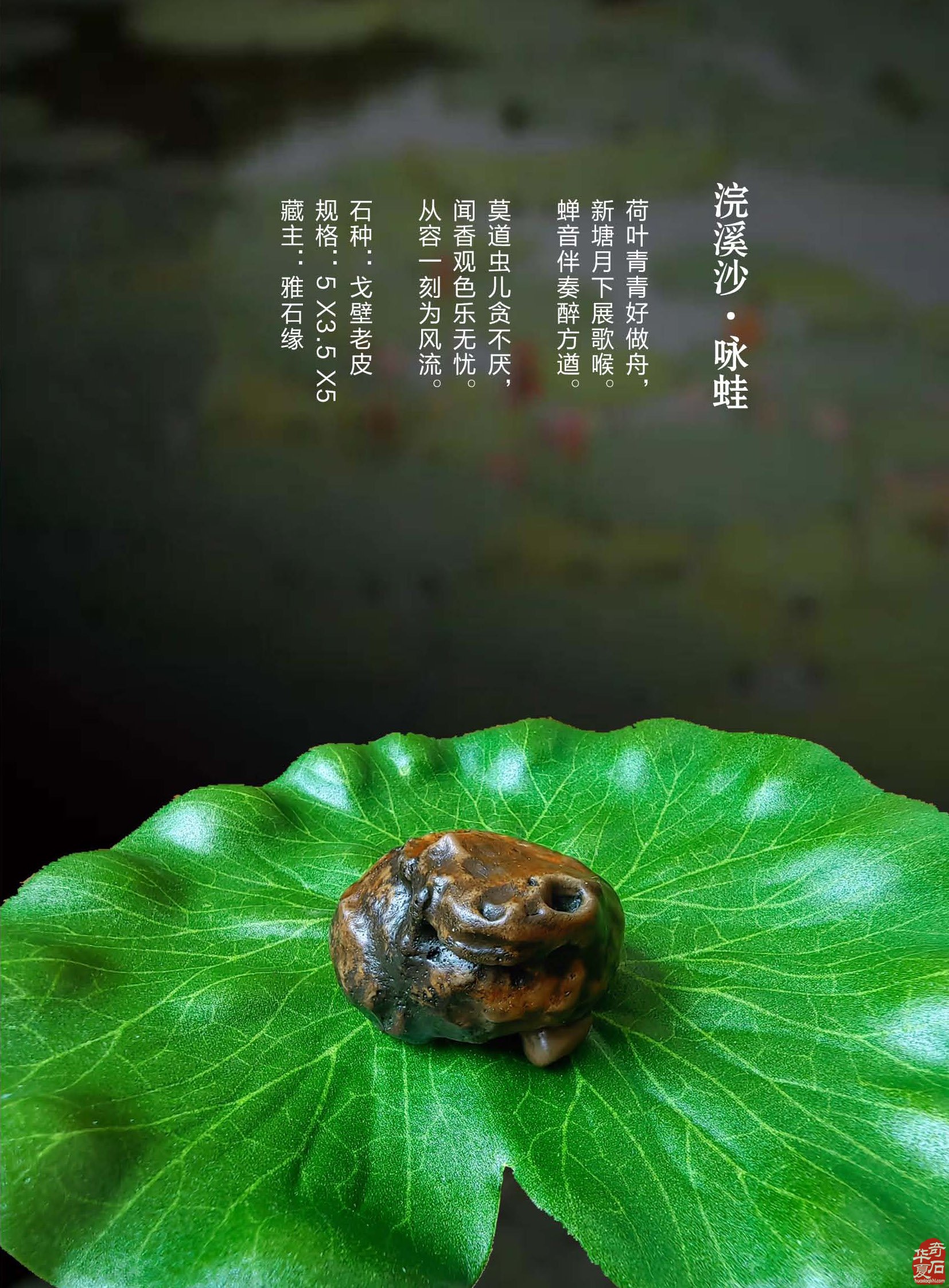 《于公赏石》推介深受石界喜欢的漂亮美石