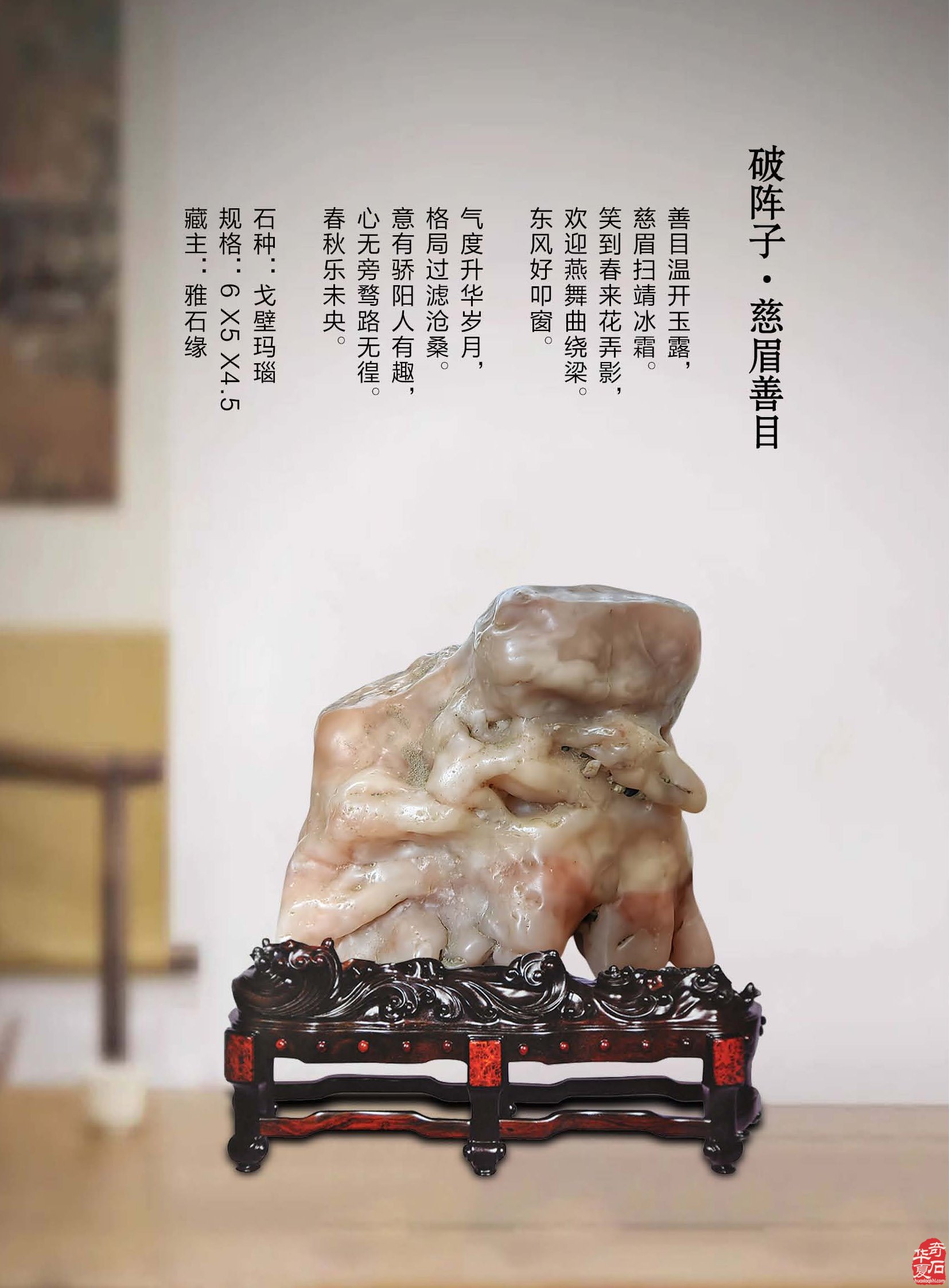 《于公赏石》推介深受石界喜欢的漂亮美石