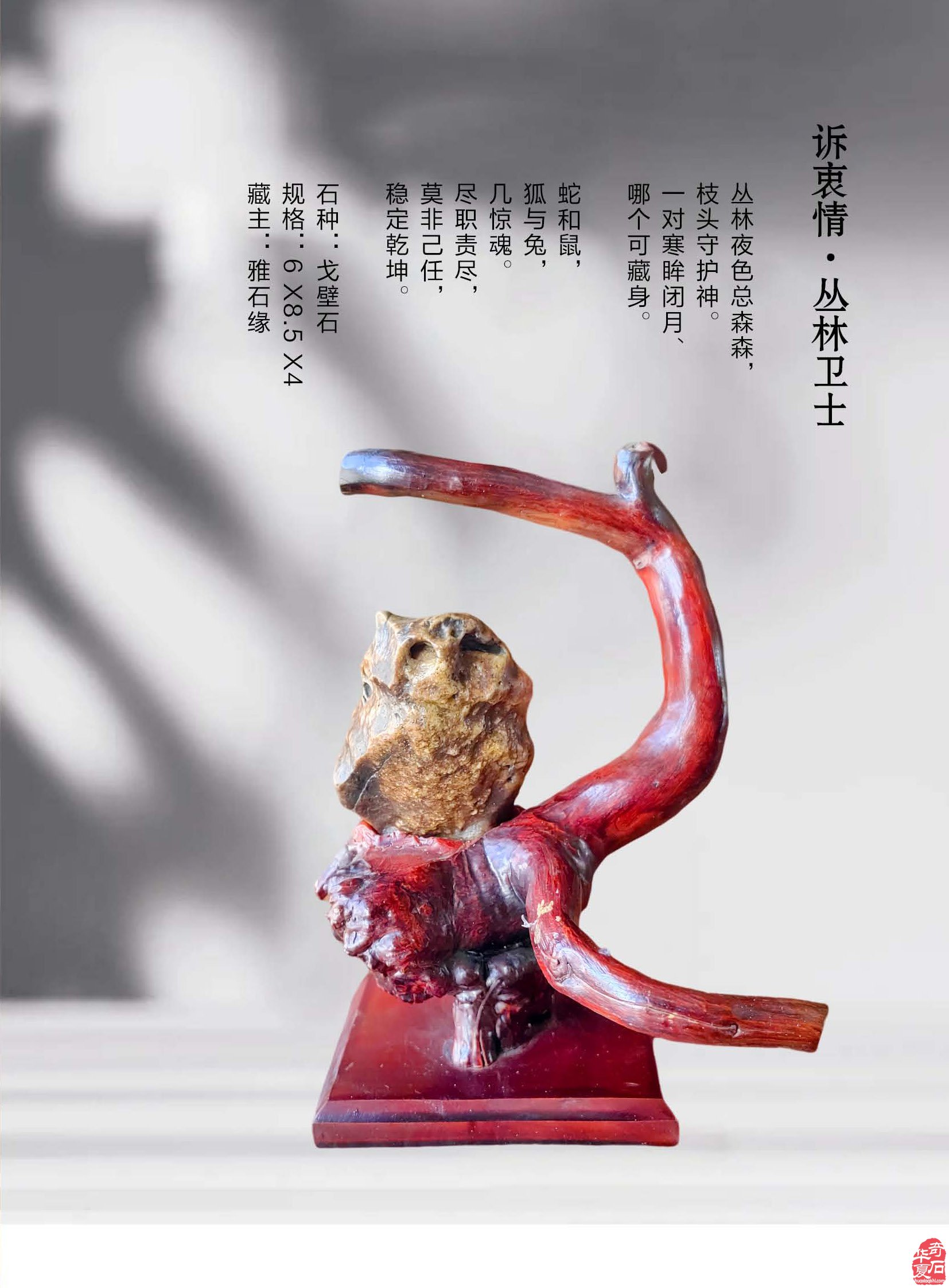 《于公赏石》推介深受石界喜欢的漂亮美石