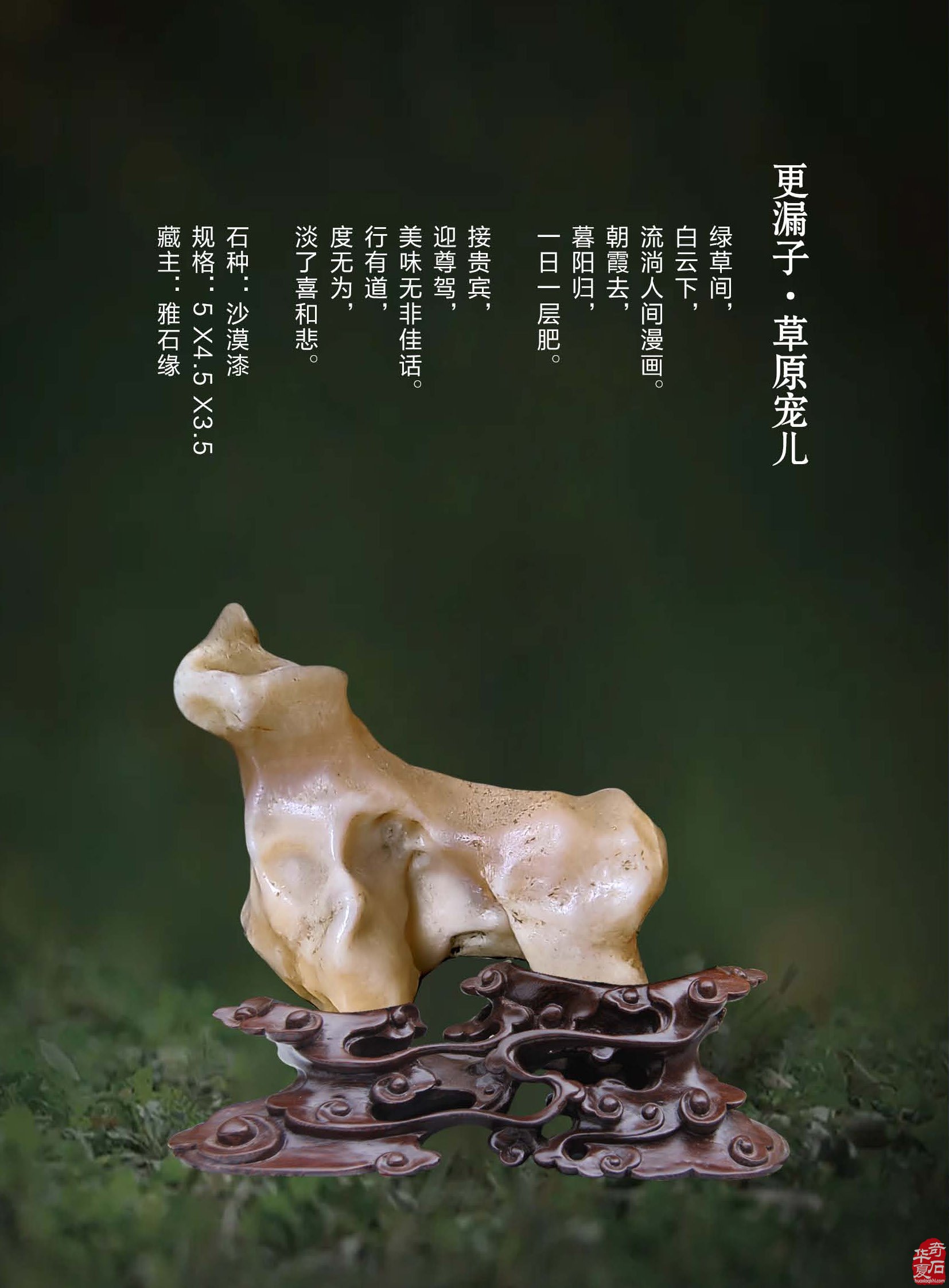 《于公赏石》推介深受石界喜欢的漂亮美石