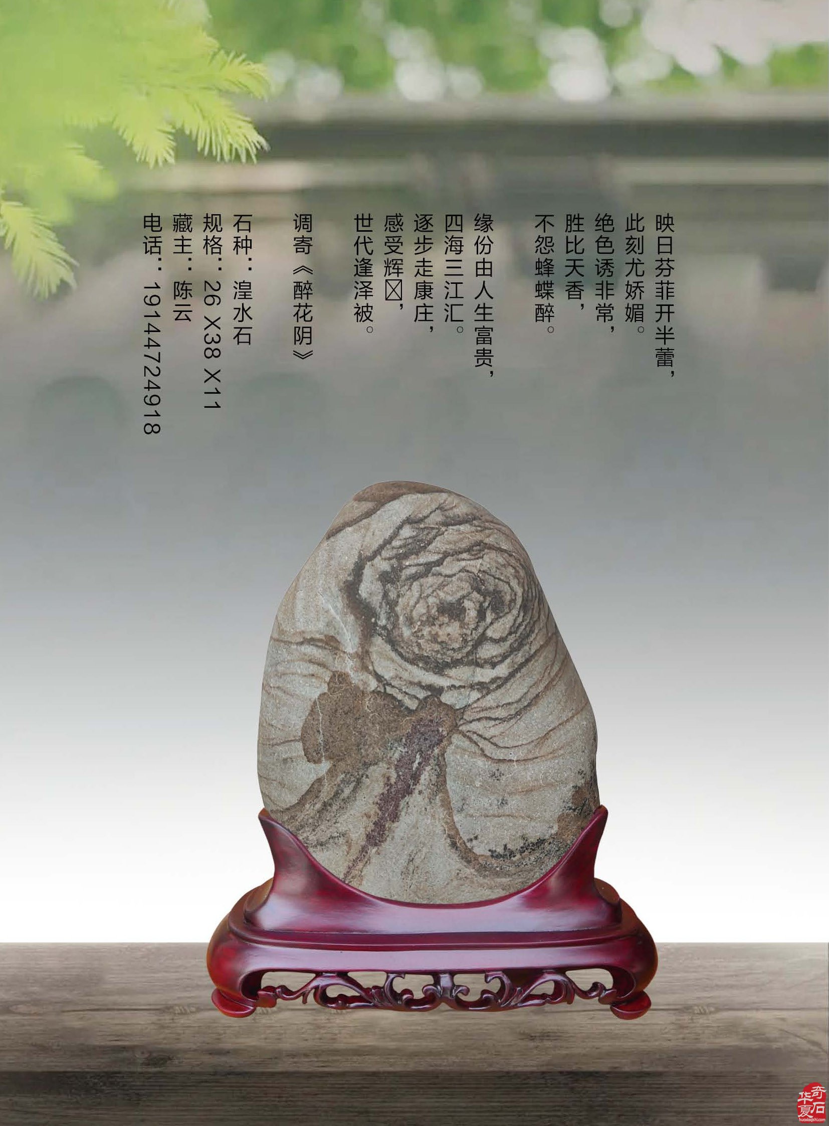 《于公赏石》推介深受石界喜欢的漂亮美石