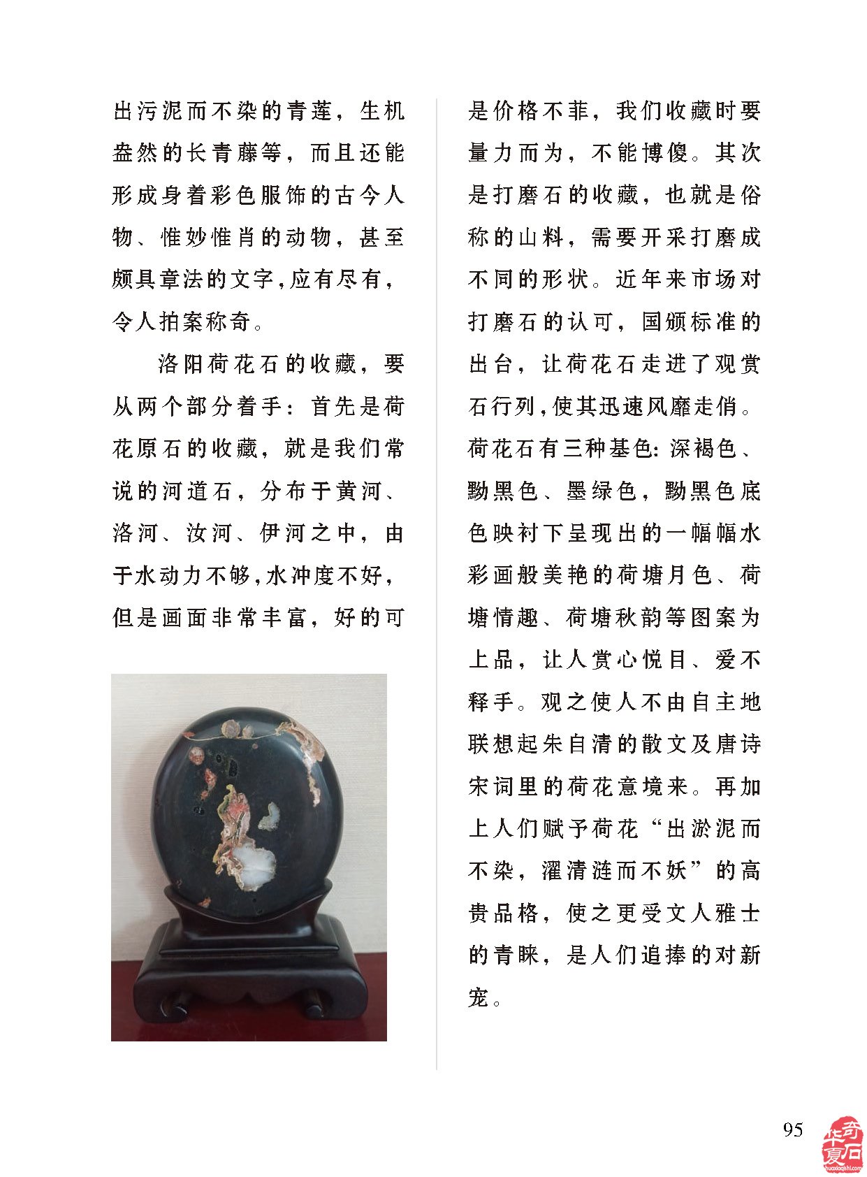 《于公赏石》推介深受石界喜欢的漂亮美石
