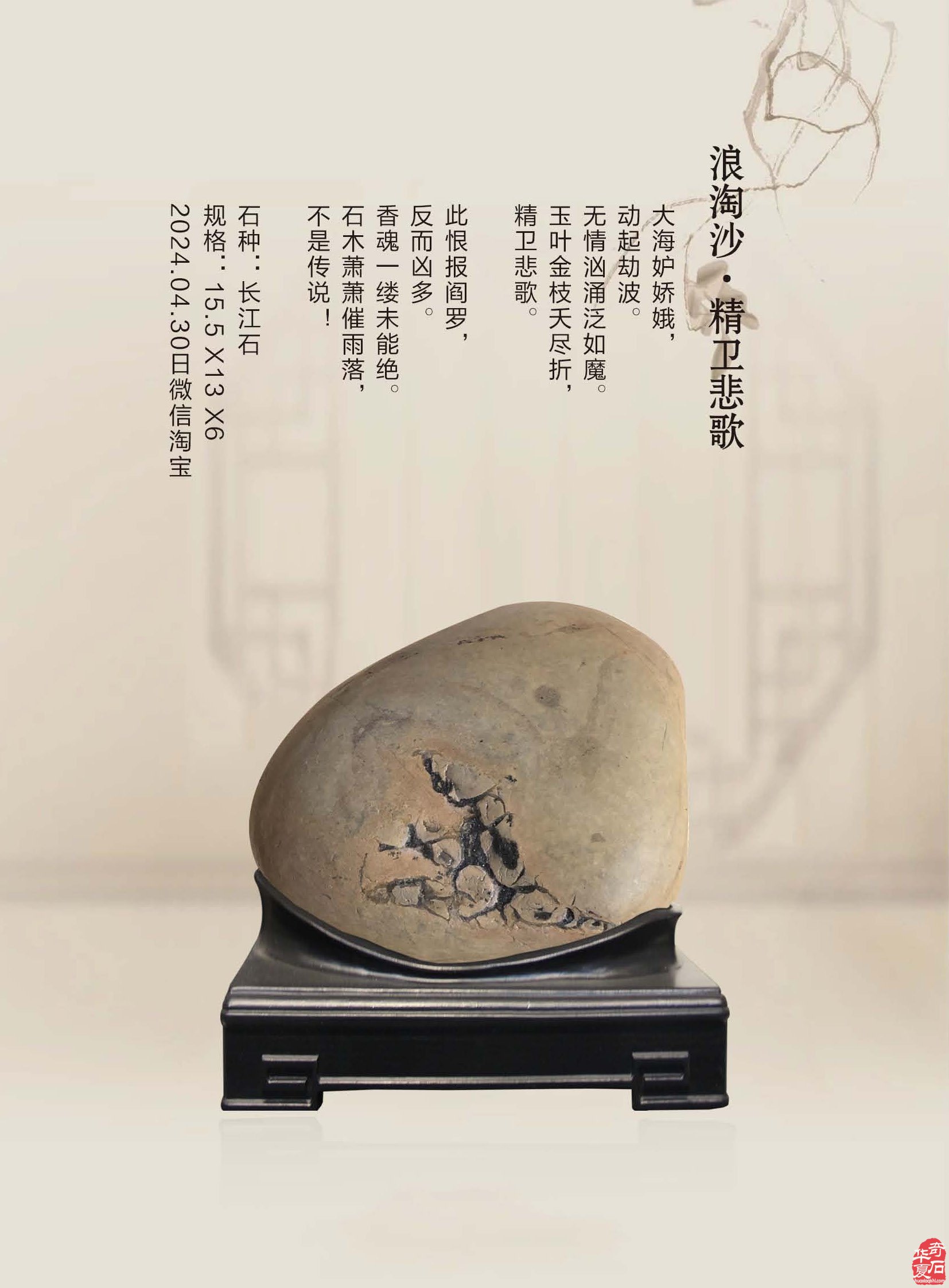 《于公赏石》推介深受石界喜欢的漂亮美石