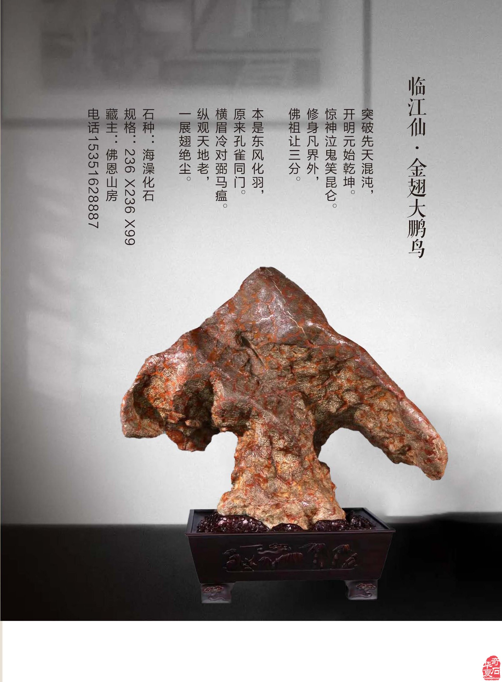 《于公赏石》推介深受石界喜欢的漂亮美石